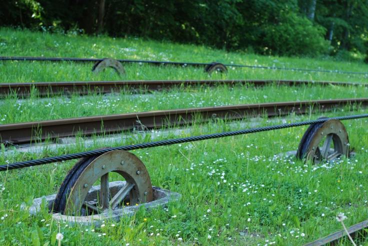Szyny i liny oparte na rolkach grzbietowych.