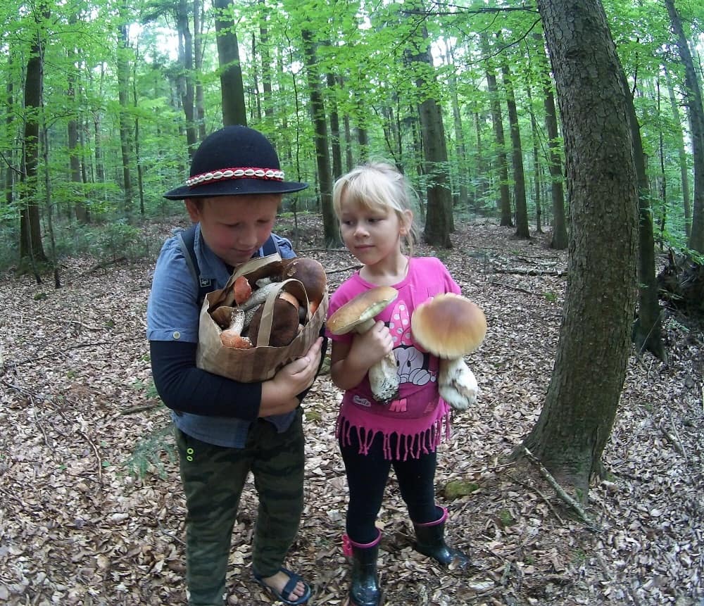 Chłopiec z torbą grzybów. Obok dziewczynka patrzy na pełną torbę, w dłoniach trzyma dwa dorodne prawdziwki.