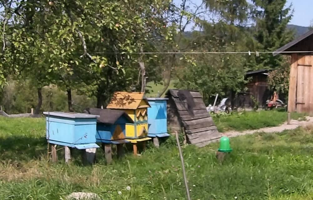 Ule w gospodarstwie Łemkowskim.  Niebieski z płaskim daszkiem, niebiesko-żółty z daszkiem dwuspadowym, żółty z daszkiem dwuspadowym