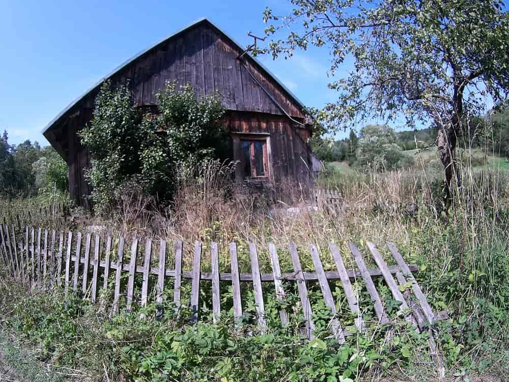 Sara drewniana i zarośnięta chata, przed nią drewniany płot obalony starością.