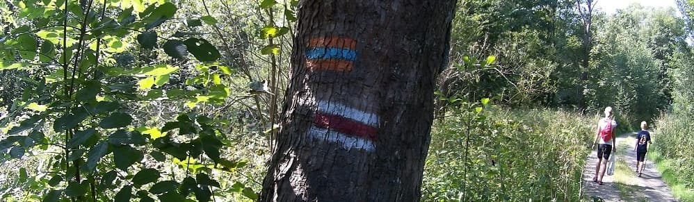 namalowane oznaczenie szlaków na drzewie, wyżej pomarańczowo-niebiesko-pomarańczowy niżej biało-czerwono-biały. Z prawej droga a na niej oddalające się postacie