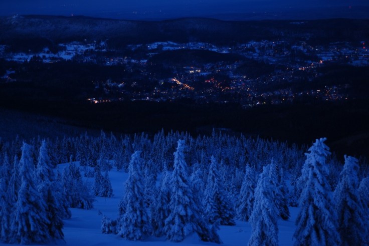 Widok z pod Łabskiego szczytu. ośnieżone choinki a w dole światła miasta