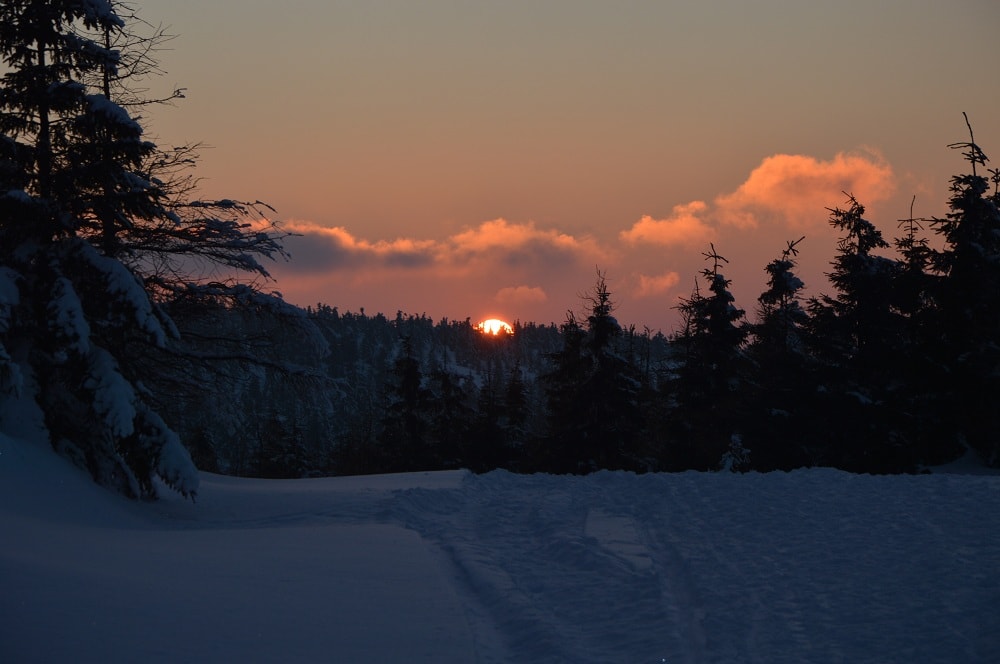 Zachód słońca. Czerwona kula chowa się za choinkami. Na pierwszym planie śnieg ugnieciony nartami biegaczy i butami turystów.