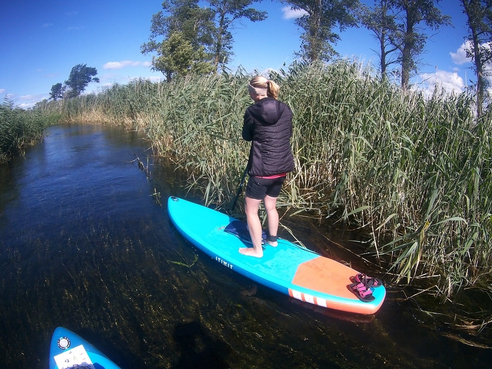 Graciela płynąca na desce SUP, na tle trzcin porastających brzegi.
fot. Rafał Lipkowski TJNB
